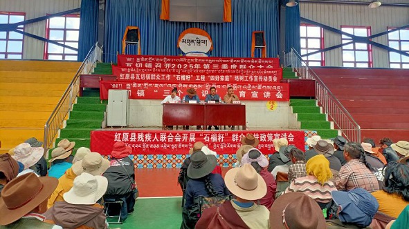 图片 图片