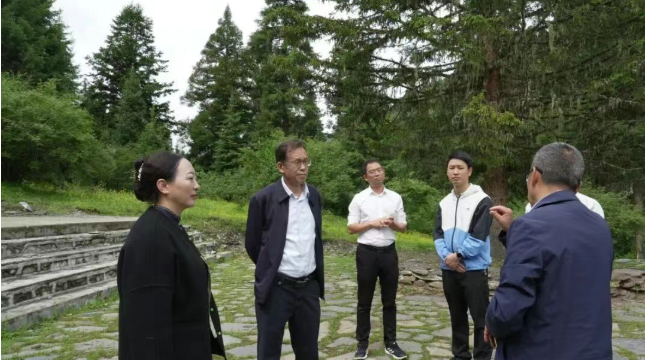 图片 图片