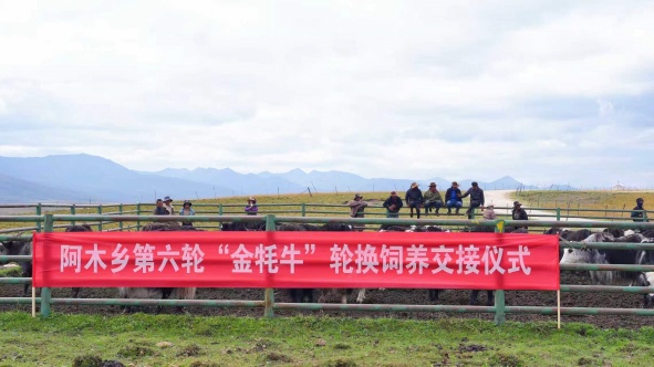 图片 图片