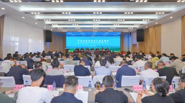 图片 图片
