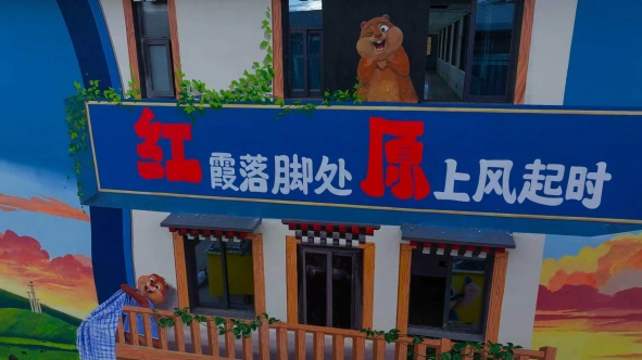 图片 图片